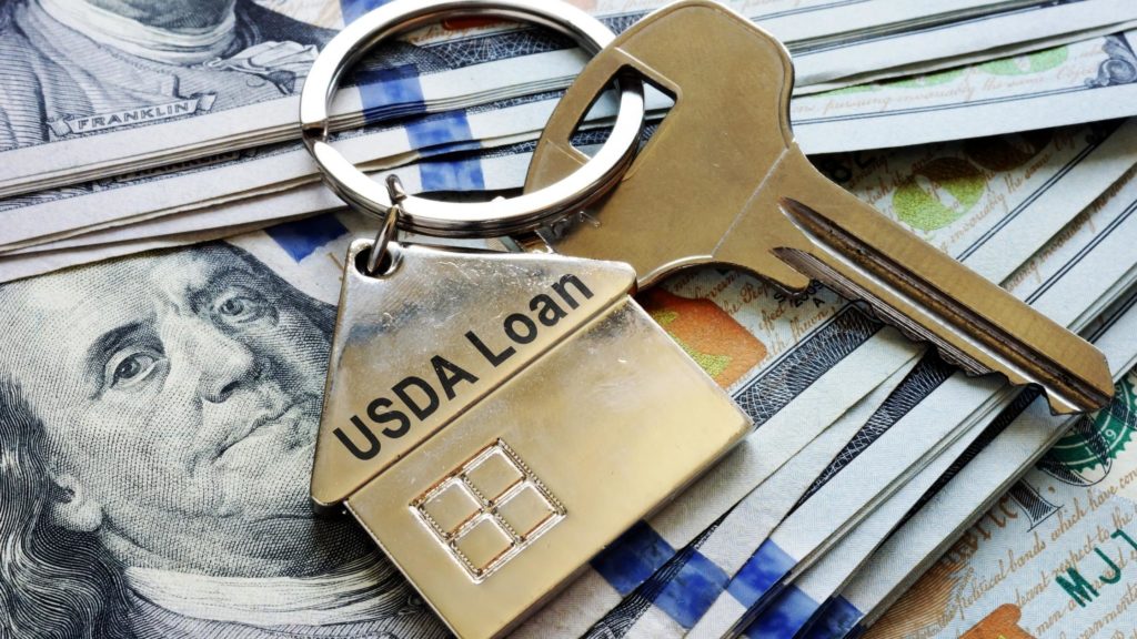what should you buy with a usda loan