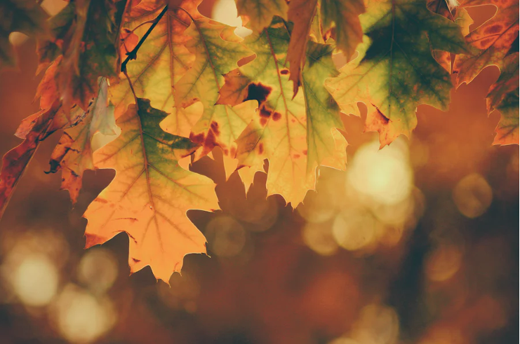 Autumn Tips for a Successful Funding Approach